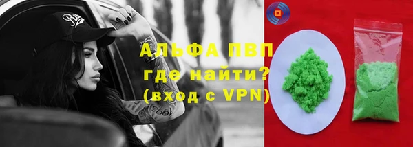 сатива Армянск